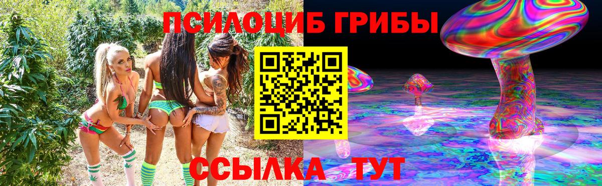 Красноармейск  Псилоцибиновые грибы MAGIC MUSHROOMS  Вход с VPN 
